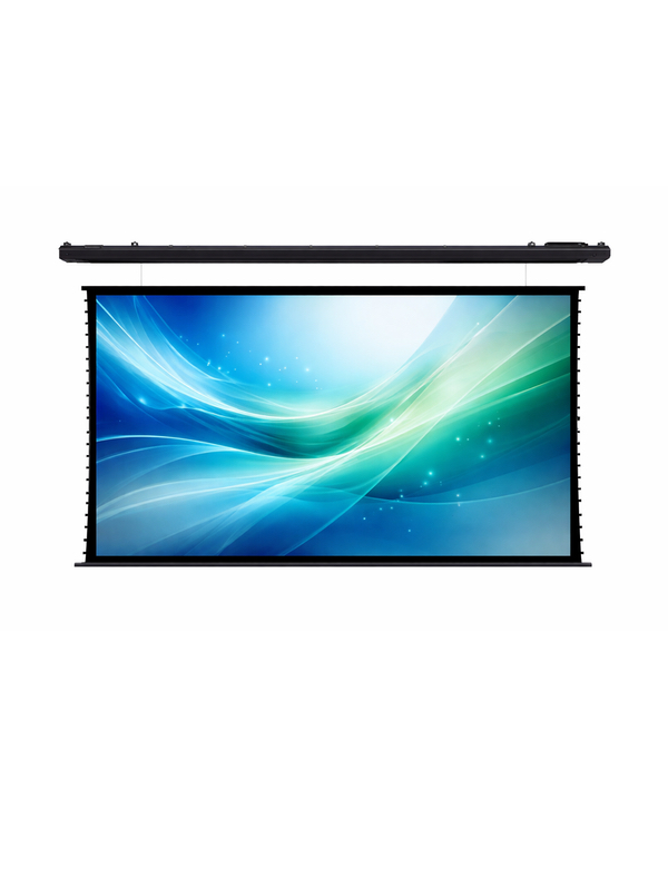 Моторизированный экран ViewScreen Roper RP-240F 240" 16:9